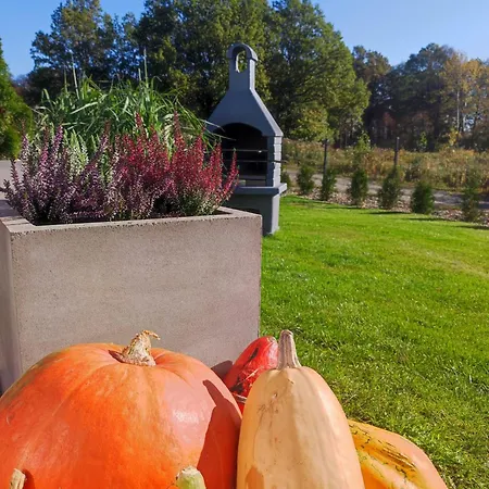 Karkonosze Pod Debem