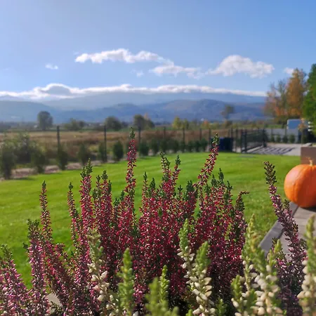 Karkonosze Pod Debem Casa vacanze *