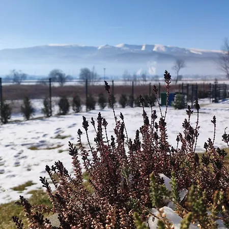 Karkonosze Pod Debem Wojcieszyce