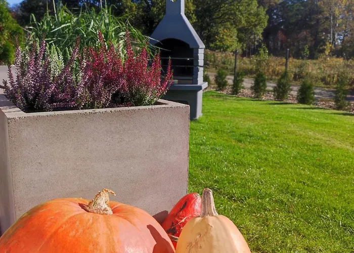 Karkonosze Pod Debem